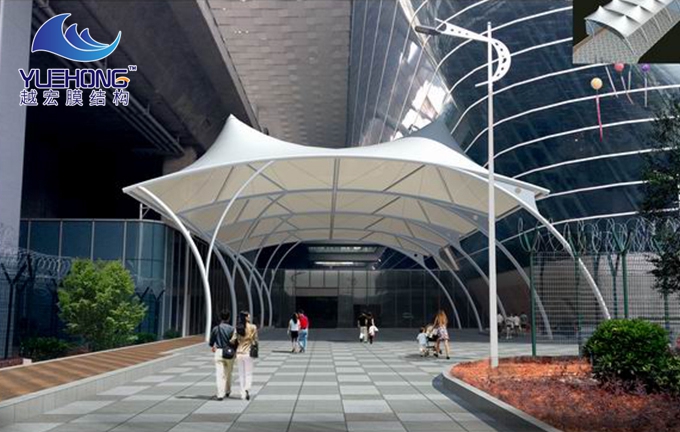 �̈�Ĥ�Y�������