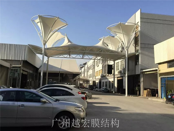 1462780277494431.jpg psb.jpg